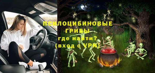 бошки Алексин