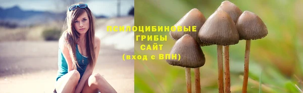 jwh Инсар