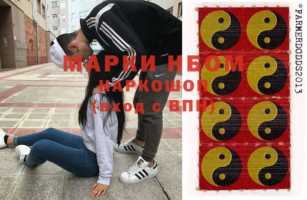 ECSTASY Алзамай