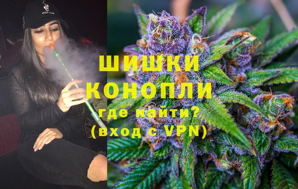 бошки Алексин