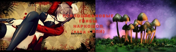 бошки Алексеевка