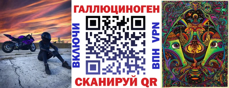 как найти Кочубеевское Галлюциногенные грибы Psilocybe