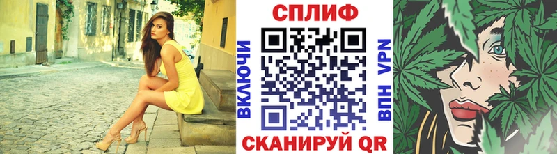 Канабис гибрид  где найти   Кочубеевское 